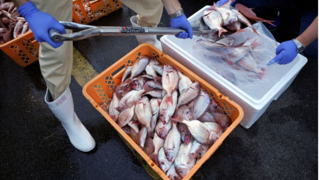 G7 demands 'immediate repeal' of restrictions on Japanese food G7 demands 'immediate repeal' of restrictions on Japanese food