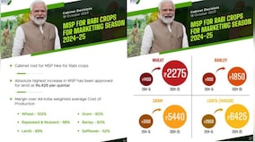 Cabinet approves increase in MSP for all Rabi crops for marketing season 2024-25