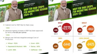 Cabinet approves increase in MSP for all Rabi crops for marketing season 2024-25