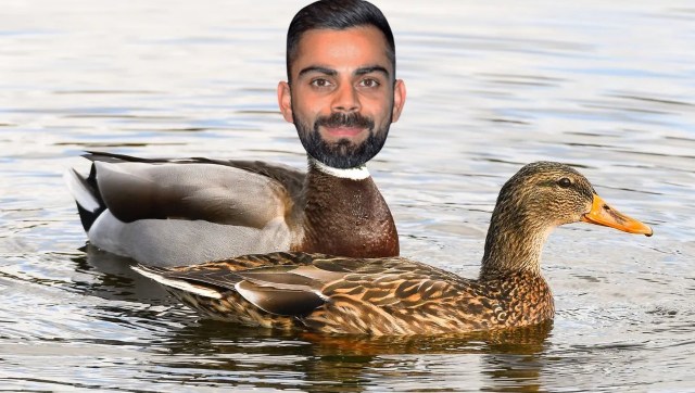 World Cup 2023: Barmy Army trolls Virat Kohli, gets savage reply from Bharat Army World Cup 2023: Barmy Army trolls Virat Kohli, gets savage reply from Bharat Army