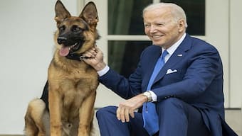 Pooch Troubles: Why Joe Biden has moved his dog Commander from the White House