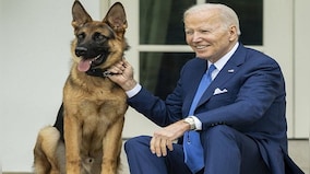 Pooch Troubles: Why Joe Biden has moved his dog Commander from the White House