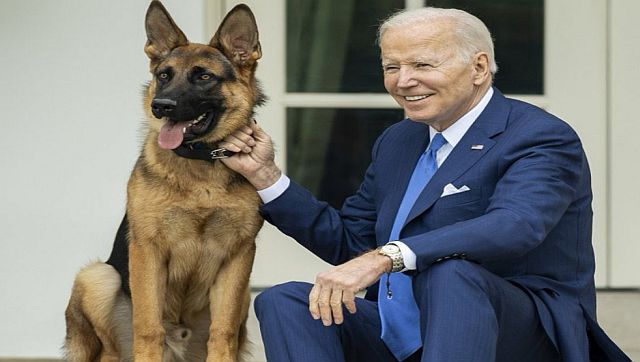 Pooch Troubles: Why Joe Biden has moved his dog Commander from the White House Pooch Troubles: Why Joe Biden has moved his dog Commander from the White House