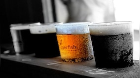 Bitter Truth: How climate change is affecting your beer
