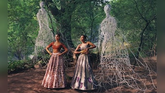 Shanti Banaras In Search of a Tiger Utopia