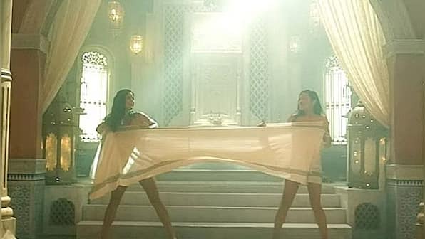 Tiger 3: Meet the actress who has done an action scene only in a towel with Katrina Kaif, has been part of Marvel movies