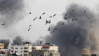 How Israel is using birds in their search for Hamas attack victims