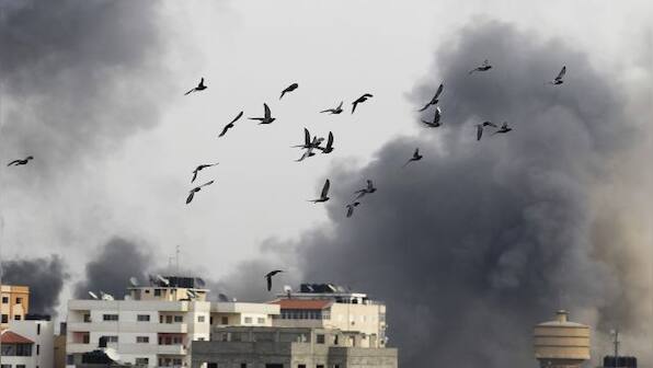 How Israel is using birds in their search for Hamas attack victims