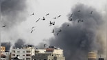 How Israel is using birds in their search for Hamas attack victims