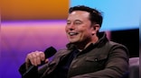 Elon Musk gets Hamas invite: After Israel, will he travel to Gaza?