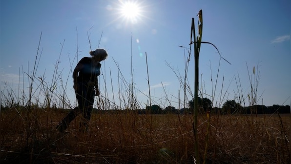 The world crosses 2-degree warming limit for first time: What does it mean?