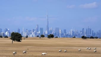 Will Dubai benefit from hosting the COP28 Summit?