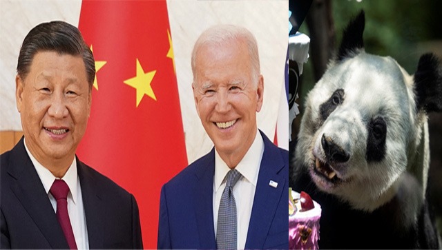 China creates panda-monium when displeased China creates panda-monium when displeased