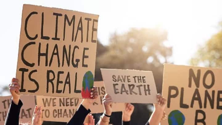 Even our wealthiest 10% pollute less than regular earners in rich nations: Study