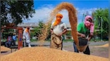 Modi govt will keep giving free food to poor for another 5 years at nearly Rs12 lakh crore