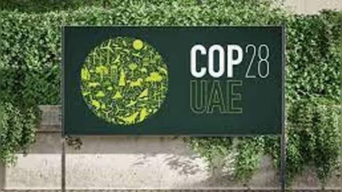 COP28: Loss and damage fund, climate finance among India's key focus at climate summit, says Env min