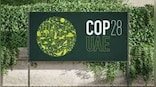 COP28: Loss and damage fund, climate finance among India's key focus at climate summit, says Env min