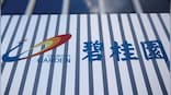 China wants insurer to take over biggest builder on verge of default
