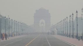 From GRAP to green dreams: How Delhi plans to chart a path to year-round clean air