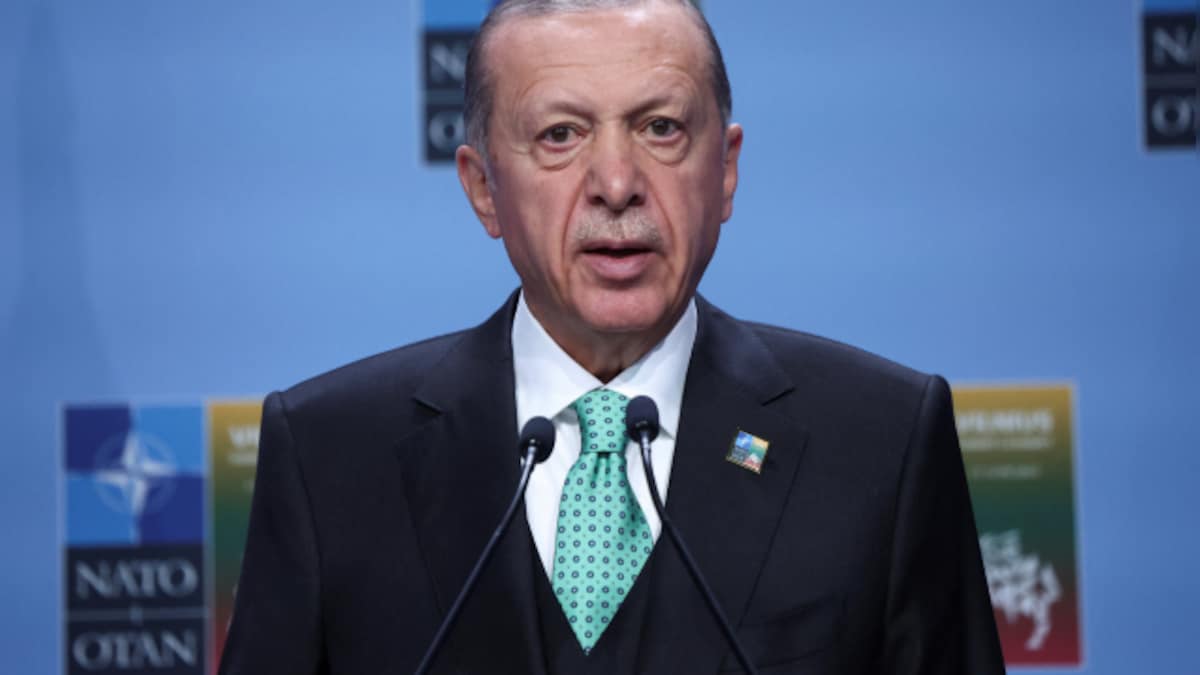 Erdogan pledges to facilitate Sweden's NATO membership bid