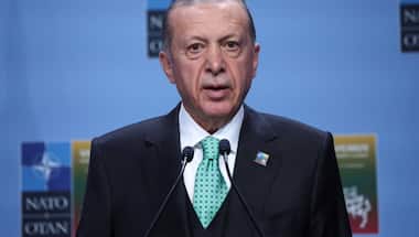 'The world is bigger than five': Turkey's Erdogan denounced UNSC over US veto, calls it 'Israel protection council'
