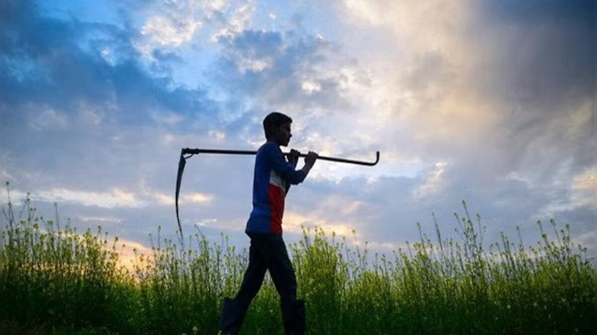 ‘sustainability’ as a solution to sustain indian agriculture in times to come
