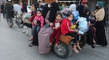 Disease could be bigger killer than bombs in Gaza: WHO