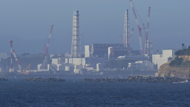 A dozen nations to start making electricity from nuclear power, says IAEA A dozen nations to start making electricity from nuclear power, says IAEA