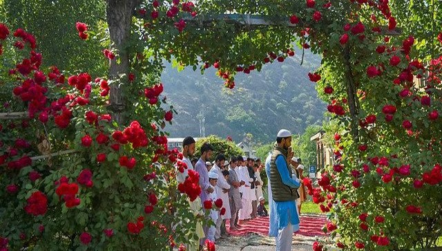 Paradise on Earth: How beautiful roses, lavenders can be an economic miracle for Kashmir Paradise on Earth: How beautiful roses, lavenders can be an economic miracle for Kashmir