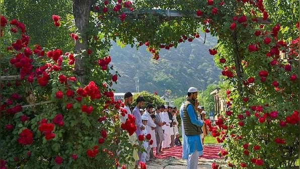 Paradise on Earth: How beautiful roses, lavenders can be an economic miracle for Kashmir
