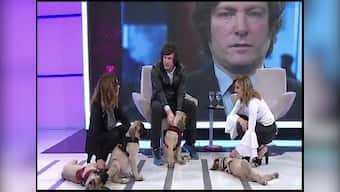 How Argentina’s new president takes advice from his cloned dogs