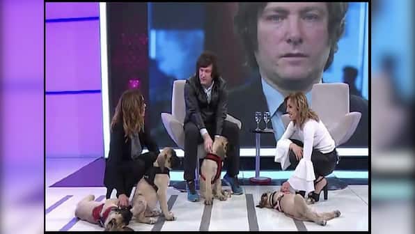 How Argentina’s new president takes advice from his cloned dogs