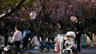 China kicks off nationwide population survey amid declining birth rate