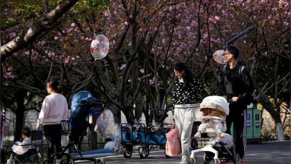 China kicks off nationwide population survey amid declining birth rate