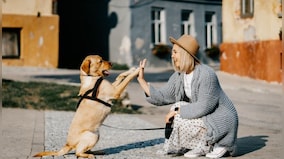Small joys: Why you need you find your glimmer