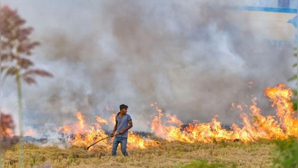 NGT takes Punjab govt to cleaners for having done nothing for curbing pollution, presenting misleading report