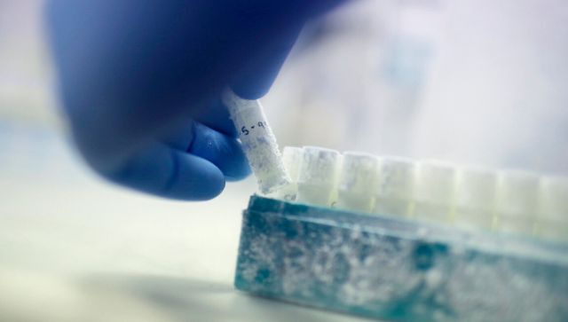 'In the wake' of war on Hamas: Israel is ensuring its dead soldiers, civilians will become fathers 'In the wake' of war on Hamas: Israel is ensuring its dead soldiers, civilians will become fathers