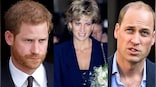 Amid Netflix's 'The Crown S6', here's what happened during Princess Diana's last phone call to Prince Harry and William