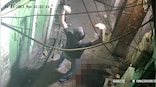On camera, teen boy stabs man 60 times in Delhi to rob Rs 350 for eating biryani; dances over body