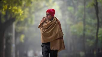 The Weather Report: North India set for winter; northeast monsoon to revive in Tamil Nadu, coastal Andhra Pradesh