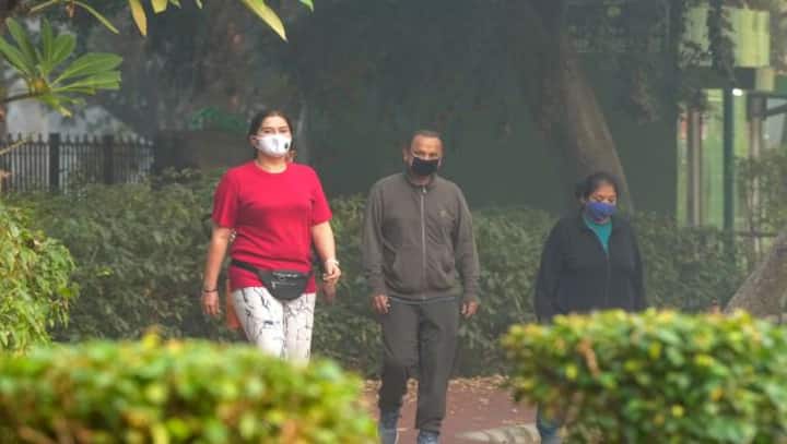 Can masks save people from Delhi’s hazardous air pollution?