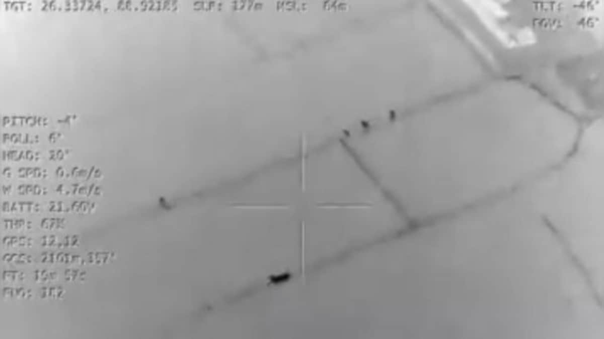 WATCH: BSF rescues 3 cattle from smugglers' grasp along Indo-Bangladesh border using night vision drone camera