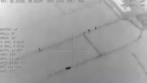 WATCH: BSF rescues 3 cattle from smugglers' grasp along Indo-Bangladesh border using night vision drone camera