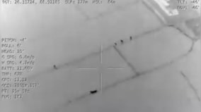 WATCH: BSF rescues 3 cattle from smugglers' grasp along Indo-Bangladesh border using night vision drone camera