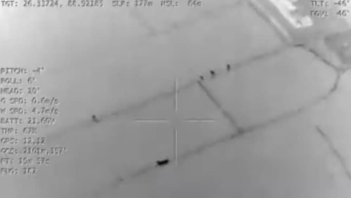 WATCH: BSF rescues 3 cattle from smugglers' grasp along Indo-Bangladesh border using night vision drone camera