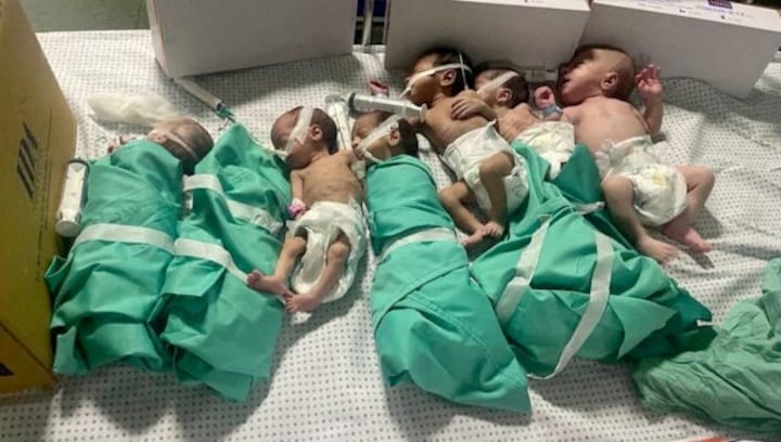 Babies dying, bodies rotting: Inside Gaza’s largest hospital which has stopped functioning