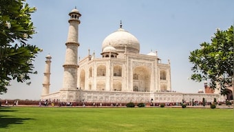 Oh No Taj! Why is Agra's Taj Mahal turning green again?