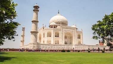 Oh No Taj! Why is Agra's Taj Mahal turning green again?