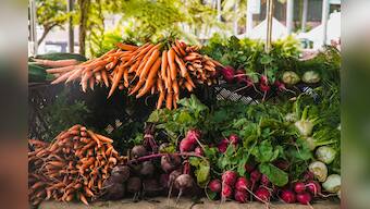 Embracing Winter Wellness: A Bounty of Vegetables and Their Benefits