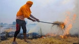 Don't care how, but we want stubble burning to stop immediately: SC to Punjab government